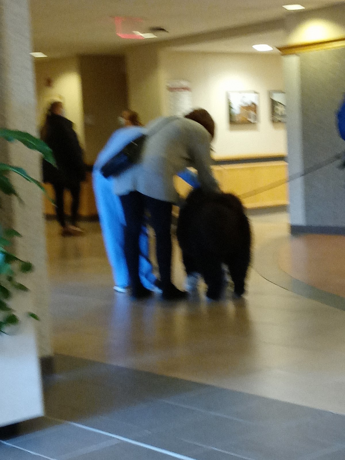 Holland Hospital - Behavioral Health